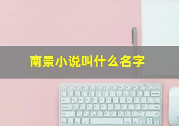 南景小说叫什么名字