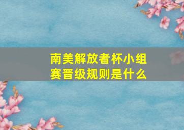 南美解放者杯小组赛晋级规则是什么