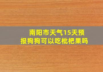 南阳市天气15天预报狗狗可以吃枇杷果吗