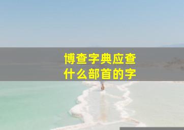 博查字典应查什么部首的字