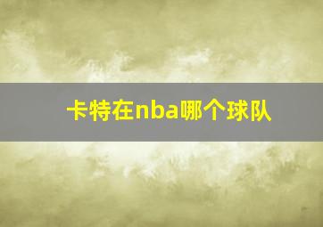 卡特在nba哪个球队