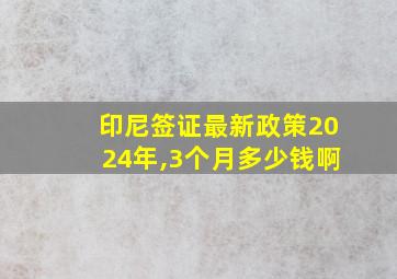 印尼签证最新政策2024年,3个月多少钱啊