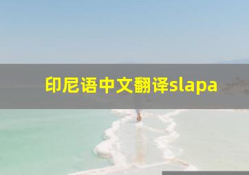 印尼语中文翻译slapa