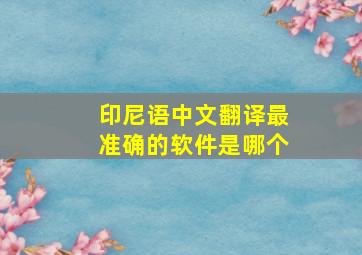 印尼语中文翻译最准确的软件是哪个