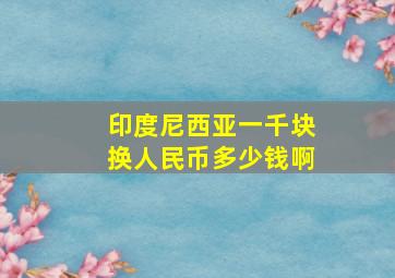 印度尼西亚一千块换人民币多少钱啊