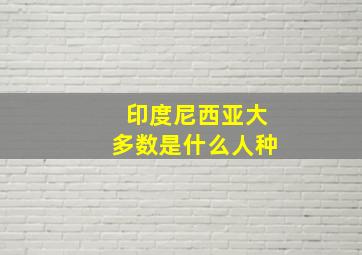 印度尼西亚大多数是什么人种