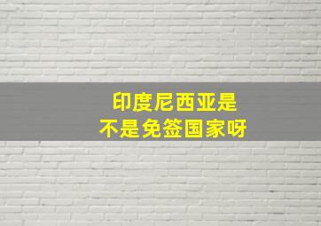 印度尼西亚是不是免签国家呀