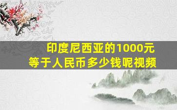 印度尼西亚的1000元等于人民币多少钱呢视频