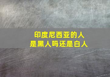 印度尼西亚的人是黑人吗还是白人