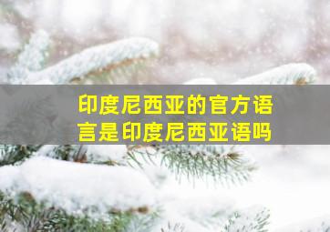 印度尼西亚的官方语言是印度尼西亚语吗