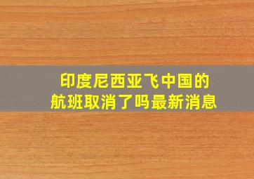 印度尼西亚飞中国的航班取消了吗最新消息