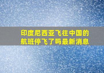 印度尼西亚飞往中国的航班停飞了吗最新消息