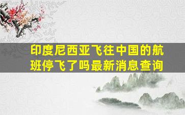 印度尼西亚飞往中国的航班停飞了吗最新消息查询