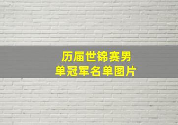 历届世锦赛男单冠军名单图片