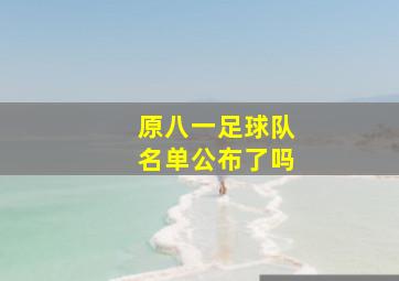 原八一足球队名单公布了吗