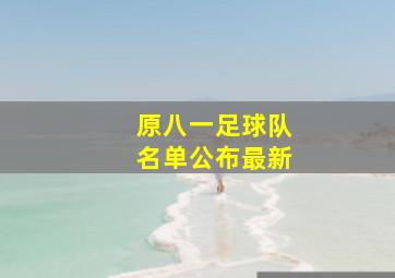 原八一足球队名单公布最新