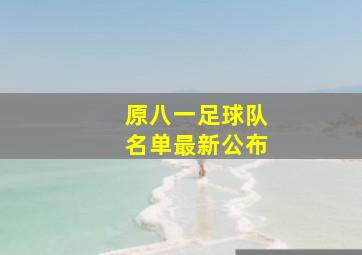 原八一足球队名单最新公布