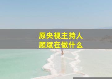 原央视主持人顾斌在做什么