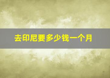 去印尼要多少钱一个月