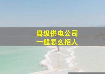 县级供电公司一般怎么招人