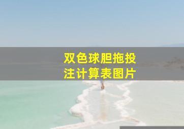 双色球胆拖投注计算表图片