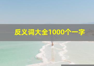 反义词大全1000个一字