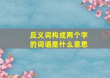 反义词构成两个字的词语是什么意思