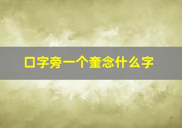 口字旁一个奎念什么字