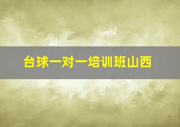 台球一对一培训班山西