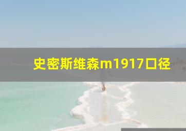 史密斯维森m1917口径