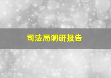 司法局调研报告