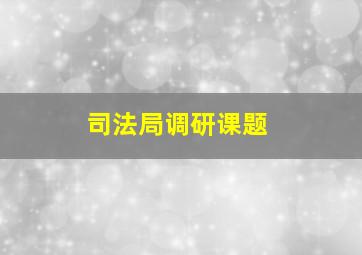 司法局调研课题