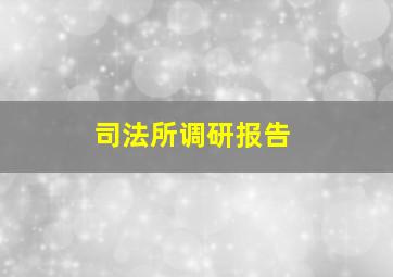 司法所调研报告