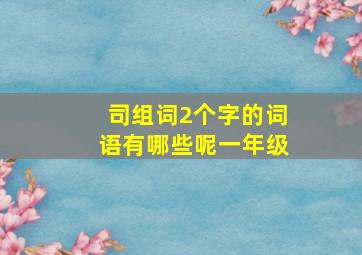 司组词2个字的词语有哪些呢一年级