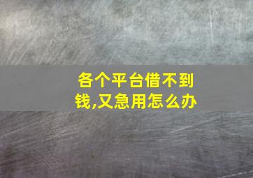 各个平台借不到钱,又急用怎么办