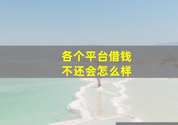 各个平台借钱不还会怎么样