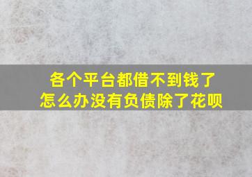 各个平台都借不到钱了怎么办没有负债除了花呗