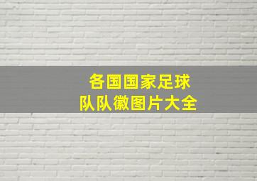 各国国家足球队队徽图片大全