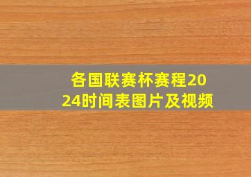 各国联赛杯赛程2024时间表图片及视频