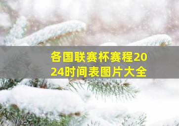 各国联赛杯赛程2024时间表图片大全