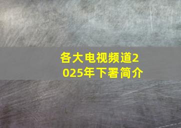 各大电视频道2025年下署简介