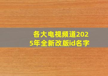 各大电视频道2025年全新改版id名字