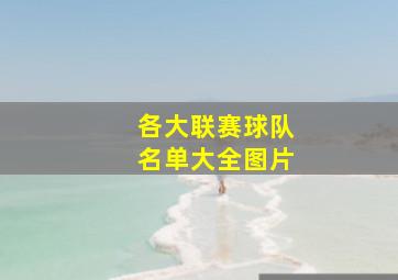 各大联赛球队名单大全图片