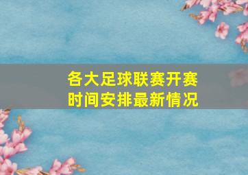 各大足球联赛开赛时间安排最新情况