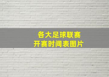 各大足球联赛开赛时间表图片