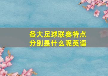 各大足球联赛特点分别是什么呢英语