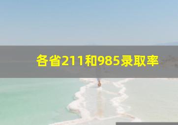 各省211和985录取率