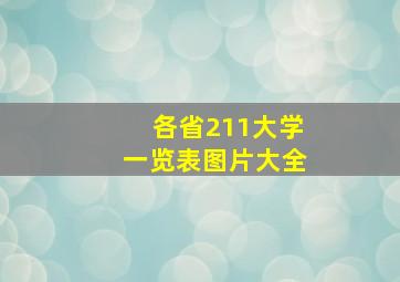 各省211大学一览表图片大全