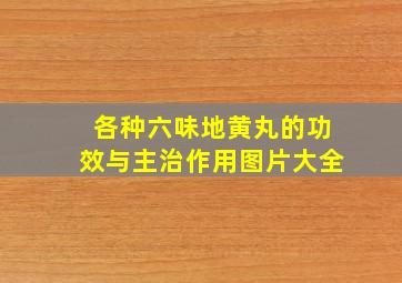 各种六味地黄丸的功效与主治作用图片大全