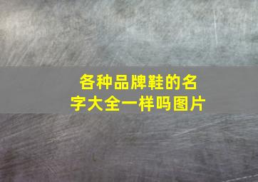 各种品牌鞋的名字大全一样吗图片